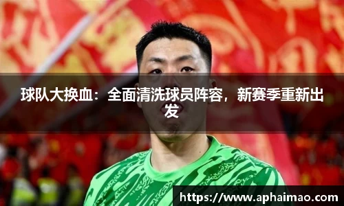 球队大换血：全面清洗球员阵容，新赛季重新出发