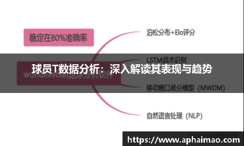 球员T数据分析：深入解读其表现与趋势