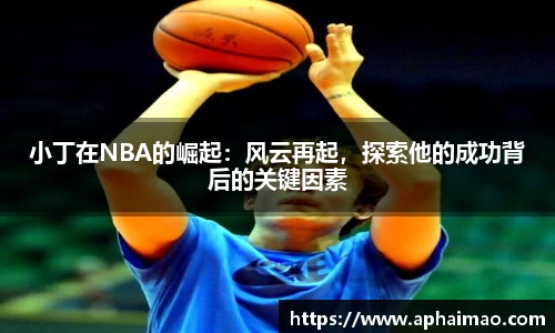 小丁在NBA的崛起：风云再起，探索他的成功背后的关键因素
