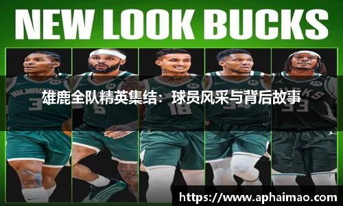 雄鹿全队精英集结：球员风采与背后故事